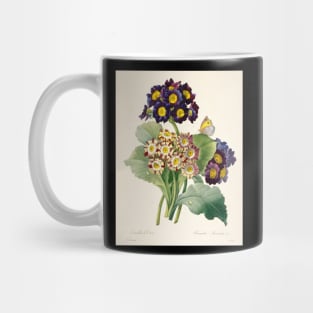 Primula Auricula by Pierre-Joseph Redoute Mug